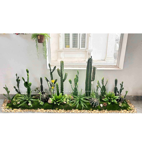 Bồn Rêu Tiểu Cảnh- Bồn Xương Rồng Thiết Kế Ấn Tượng