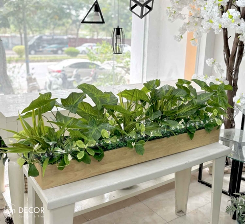 Bồn Cây Tiểu Cảnh- Bồn Cây Lá Môn Trang Trí Xanh Mát (120x20x45cm)- CC989