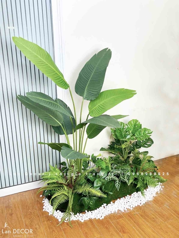 BỒN RÊU CHUỐI RẺ QUẠT MIX TIỂU CẢNH XANH MÁT- RC024