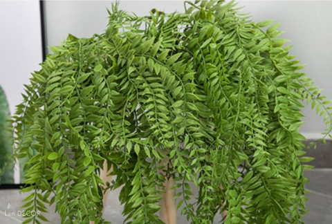 Cành Lá Giả Trang Trí, Cành Dương Xỉ Rủ Trang Trí Không Gian Xanh - HC1003