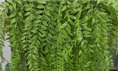 Cành Lá Giả Trang Trí, Cành Dương Xỉ Rủ Trang Trí Không Gian Xanh - HC1003