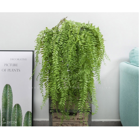 Cành Lá Giả Trang Trí, Cành Dương Xỉ Rủ Trang Trí Không Gian Xanh - HC1003