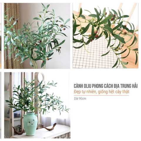 CÀNH OLIU 6 NHÁNH (CÓ QUẢ) - HC079