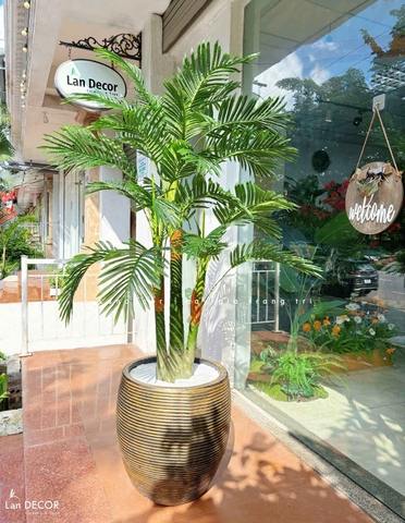 CHẬU CÂY DỪA TIỂU CẢNH PHONG CÁCH NHIỆT ĐỚI LAN DECOR - LC3062 MIX