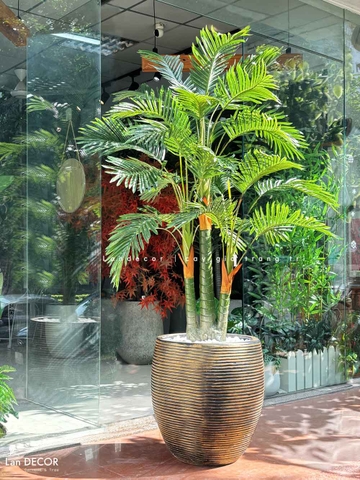 CHẬU CÂY DỪA TIỂU CẢNH PHONG CÁCH NHIỆT ĐỚI LAN DECOR - LC3062 MIX