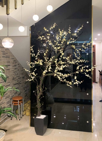 TỔNG HỢP CHẬU CÂY MAI, ĐÀO, MẬN TRANG TRÍ TẾT MANG MAY MẮN, TÀI LỘC