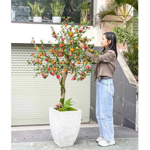 CÂY LỰU GIẢ TRANG TRÍ- TỔNG HỢP NHỮNG CHẬU CÂY LỰU TRƯNG TẾT MANG LẠI MAY MẮN