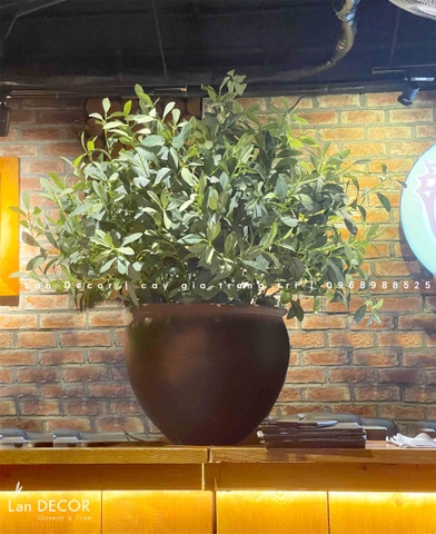 Cây giả trang trí- Chậu cây cafe decor nhà hàng, cửa hiệu- CC933