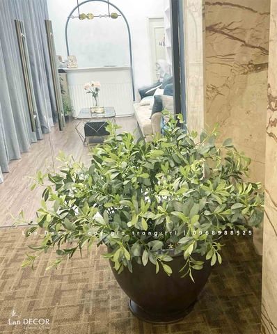 Cây giả trang trí- Chậu cây cafe decor nhà hàng, cửa hiệu- CC933