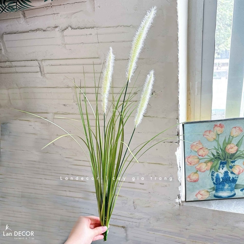 Cỏ Lau Giả- Cành Cỏ Lau Giả Thiết Kế Lan Decor, Trang Trí Kệ Cây, Tiểu Cảnh Lau Giả Quán Cafe Độc Đáo - CC1087