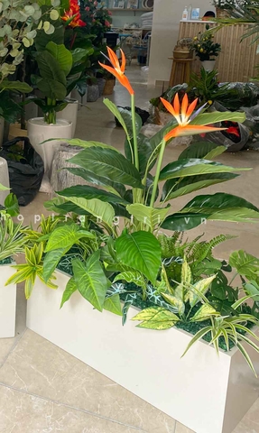 BỒN CÂY MIX TRANG TRÍ KHÔNG GIAN XANH LAN DECOR - BC110