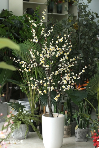 Cây mận trắng trang trí nhà đẹp Landecor (160cm) - CC378.1
