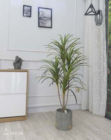 Cây Giả Trang Trí- Cây Phất Dụ, Cây Phú Quý Decor Nội Thất (125cm) - LC2902-3