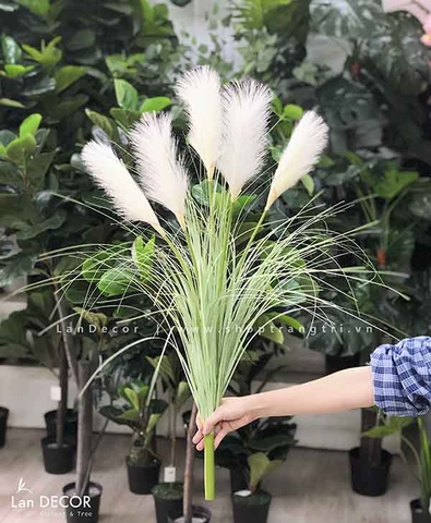 Cành lá giả - Cành lau sậy 5 bông (Full màu) - HC992/HC993/HC994/HC988
