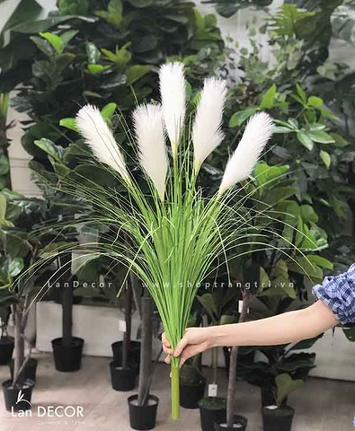 Cành lá giả - Cành lau sậy 5 bông (Full màu) - HC992/HC993/HC994/HC988