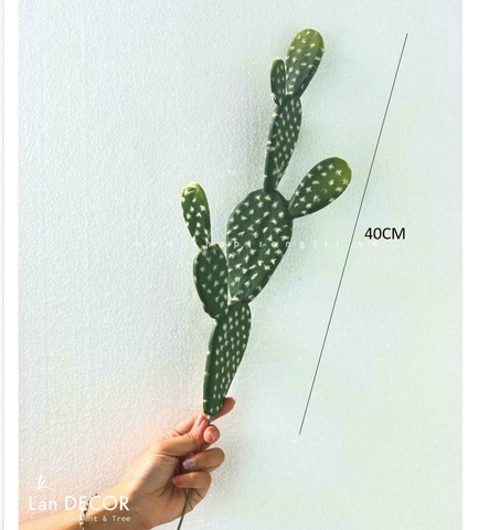 TỔNG HỢP CÁC MẪU XƯƠNG RỒNG DECOR QUÁN CAFE, VĂN PHÒNG