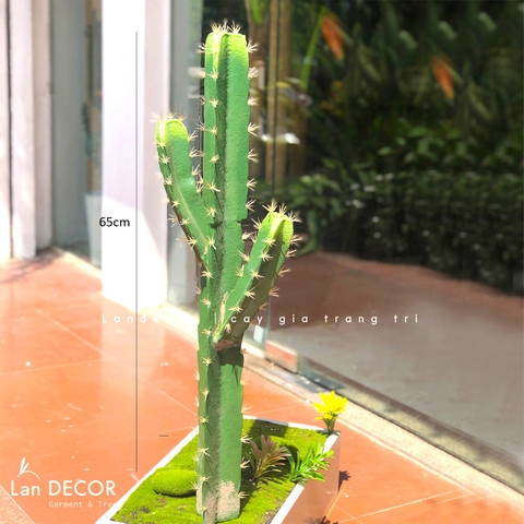 TỔNG HỢP CÁC MẪU XƯƠNG RỒNG DECOR QUÁN CAFE, VĂN PHÒNG