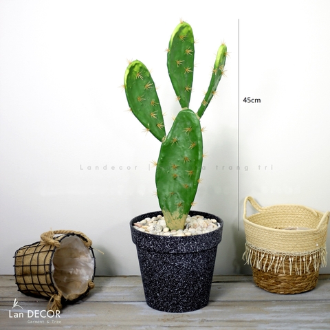 TỔNG HỢP CÁC MẪU XƯƠNG RỒNG DECOR QUÁN CAFE, VĂN PHÒNG