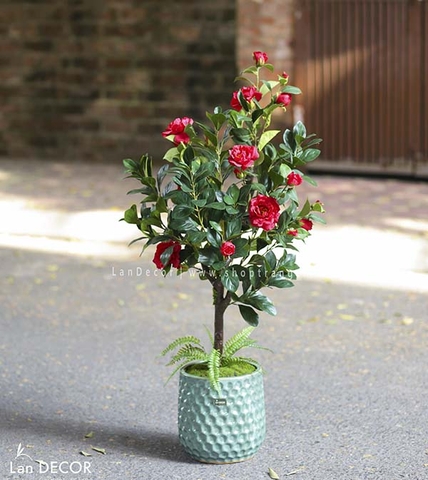 Chậu cây hoa trà đỏ trang trí đẹp, hiện đại Lan Decor (130cm) - CC323