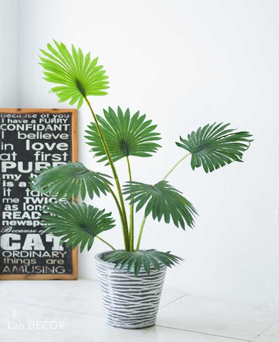 CÂY CỌ CẢNH TRANG TRÍ KHÔNG GIAN XANH LAN DECOR 120CM - LC3031