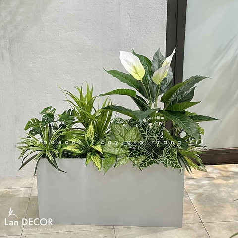 TỔNG HỢP NHỮNG MẪU BỒN CÂY TRANG TRÍ TIỂU CẢNH XANH MÁT