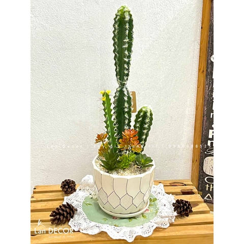 CHẬU XƯƠNG RỒNG GIẢ TRANG TRÍ TỰ NHIÊN- CC865