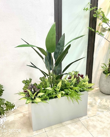 TỔNG HỢP NHỮNG MẪU BỒN CÂY TRANG TRÍ TIỂU CẢNH XANH MÁT