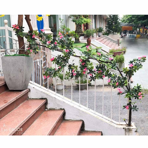 Dây hoa Đỗ Quyên trang trí ban công  (230cm) - CC519