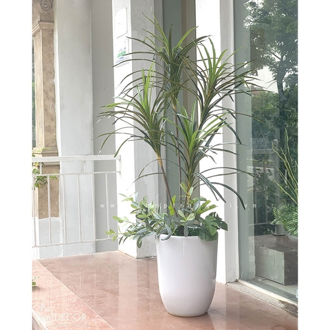 CHẬU CÂY LÁ KIM MIX TIỂU CẢNH TRANG TRÍ (125cm) - LC2902-3 MIX