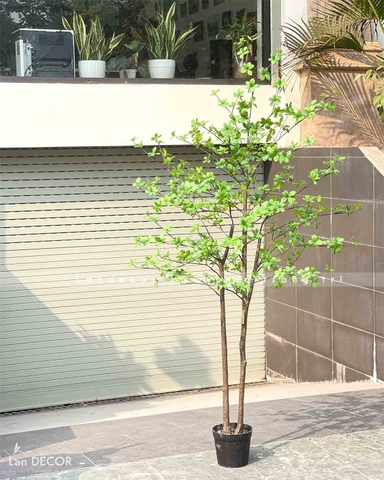 DECOR CÂY THẠCH NAM NHẬT BẢN THÂN NHỰA - CC765