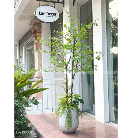 DECOR CÂY THẠCH NAM NHẬT BẢN THÂN NHỰA - CC765