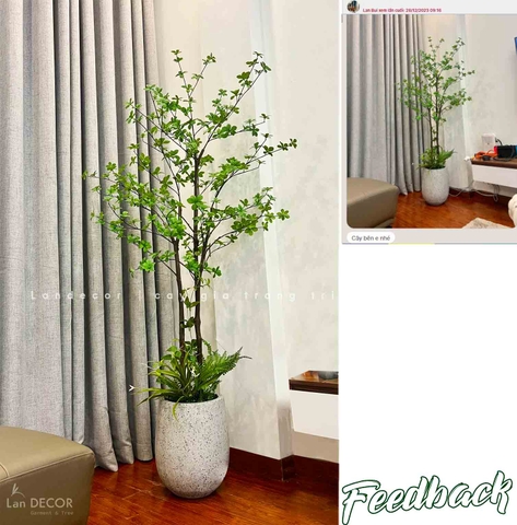 DECOR CÂY THẠCH NAM NHẬT BẢN THÂN NHỰA - CC765