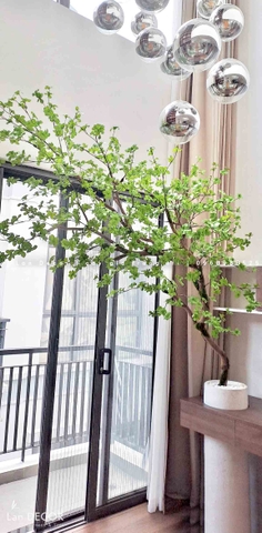 Cây thạch nam dáng huyền thiết kế Lan Decor - CC930