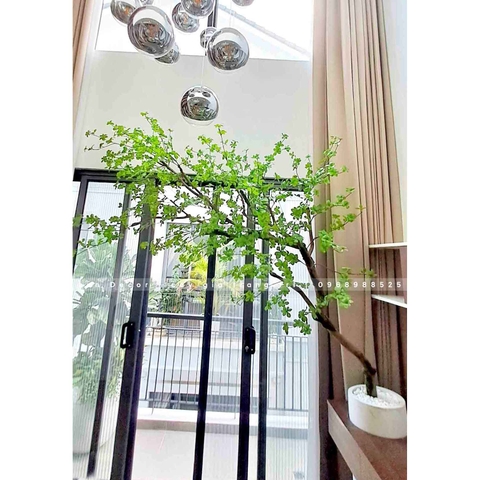 Cây thạch nam dáng huyền thiết kế Lan Decor - CC930