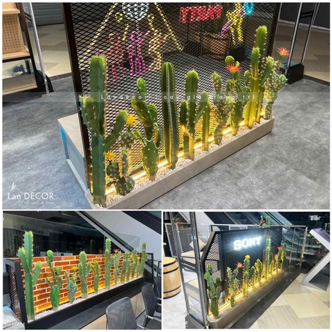 TỔNG HỢP CÁC MẪU XƯƠNG RỒNG DECOR QUÁN CAFE, VĂN PHÒNG