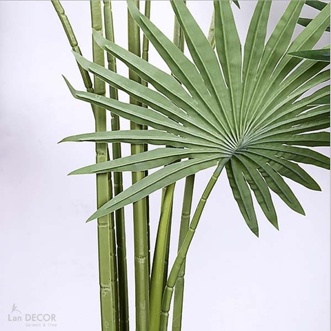 CÂY CỌ CẢNH TRANG TRÍ KHÔNG GIAN XANH LAN DECOR 120CM - LC3031