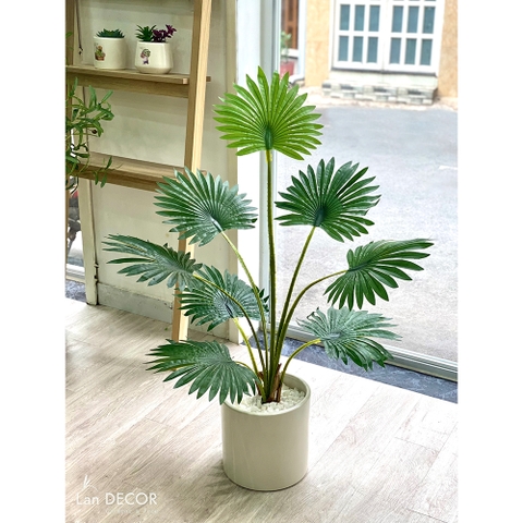 CÂY CỌ CẢNH TRANG TRÍ KHÔNG GIAN XANH LAN DECOR 120CM - LC3031