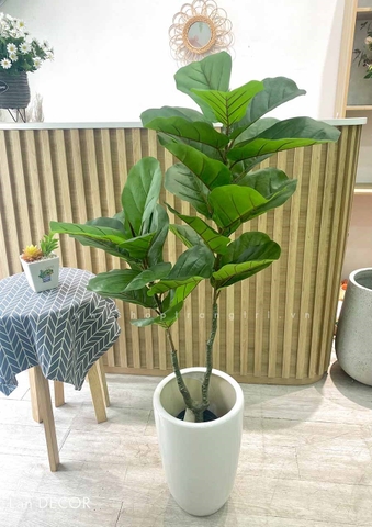 Cây bàng Singapore 2 thân trang trí  ( 120cm) - LC3183