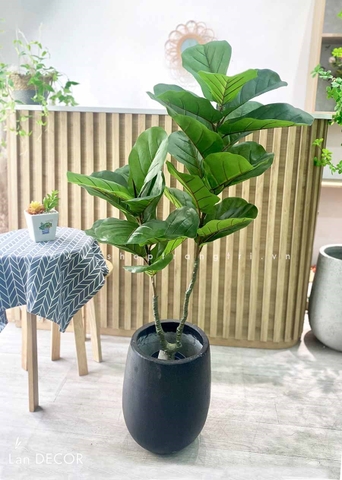 Cây bàng Singapore 2 thân trang trí  ( 120cm) - LC3183