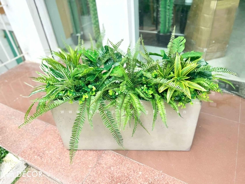 TỔNG HỢP NHỮNG MẪU BỒN CÂY TRANG TRÍ TIỂU CẢNH XANH MÁT