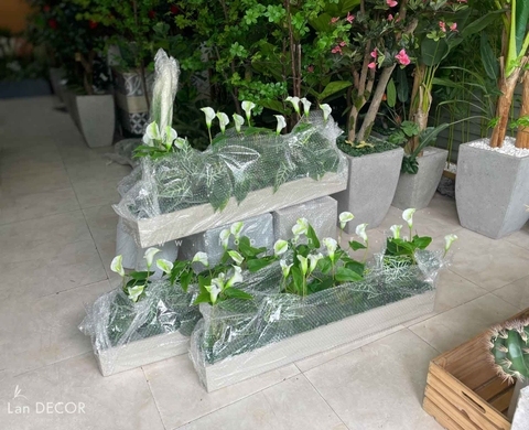 TỔNG HỢP NHỮNG MẪU BỒN CÂY TRANG TRÍ TIỂU CẢNH XANH MÁT