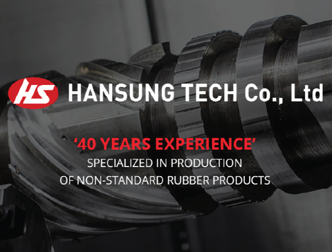 Kiên Dũng hợp tác cùng công ty Hansung Tech, Hàn Quốc