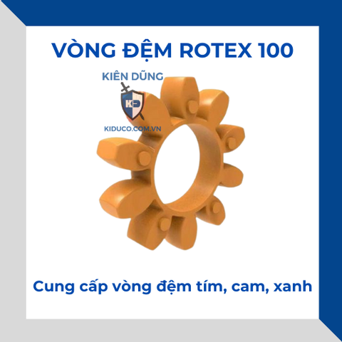 Vòng Đệm ROTEX 100 - KTR Rotex 100 Spider