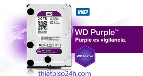 Ổ CỨNG WD PURPLE 2TB WD20PURZ