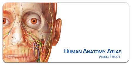 Phần mềm giải phẫu 3D Visible Body Human Anatomy Atlas