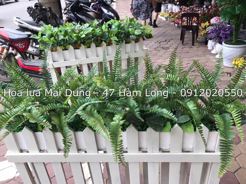 Bồn hoa 3