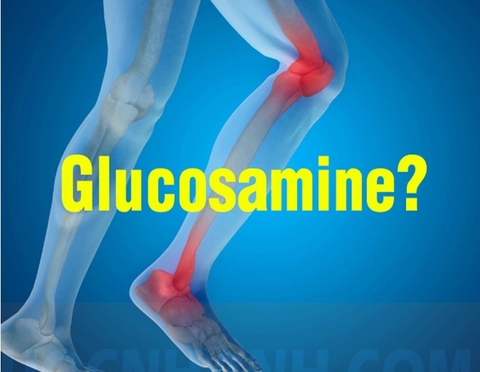 GLUCOSAMINE CÓ CÔNG CỤNG GÌ?