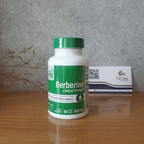 Berberine HCL 500mg 60 viên Chuyển hóa đường máu, giảm kháng Insulin