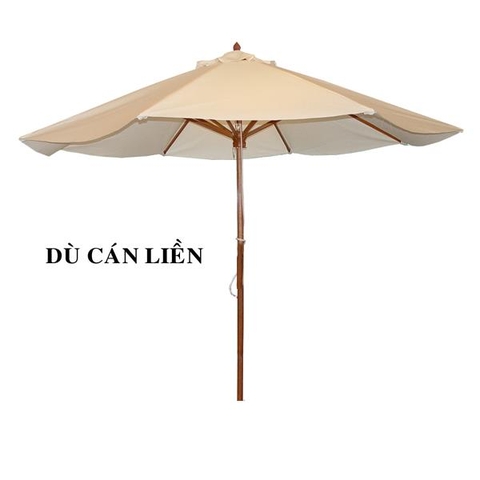 Dù cán liền 3M