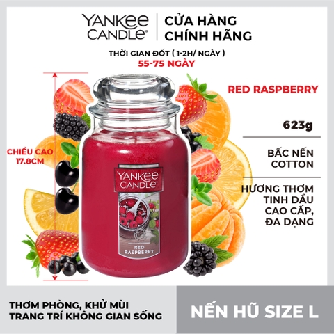 Nến hũ L Red Raspberry